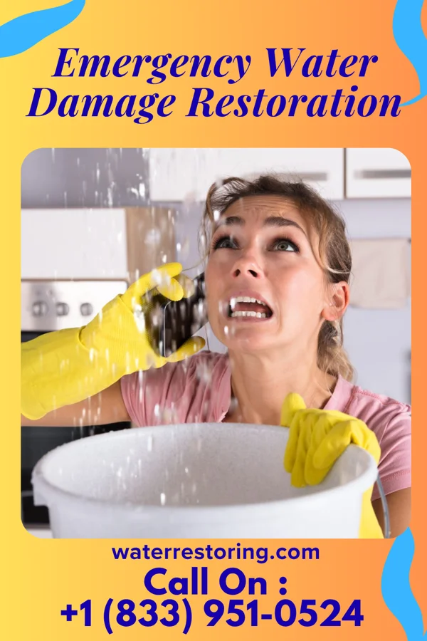 Emergency Water Damage Restoration in Sterling, IL