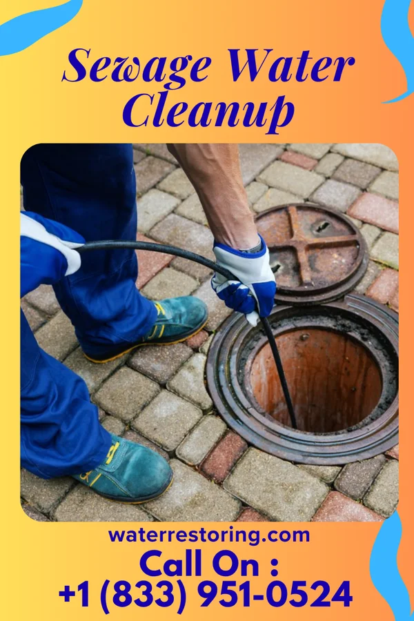 Sewage Water Cleanup in Sterling, IL